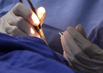 Hospitais fazem mutirão de atendimentos a mulheres no fim de semana