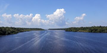 Jaraqui é reconhecido como patrimônio cultural imaterial do Amazonas