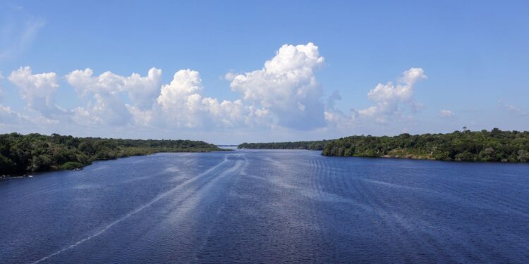 Jaraqui é reconhecido como patrimônio cultural imaterial do Amazonas