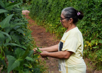 Lei acaba com multa em contagem de tempo anterior a filiação ao INSS