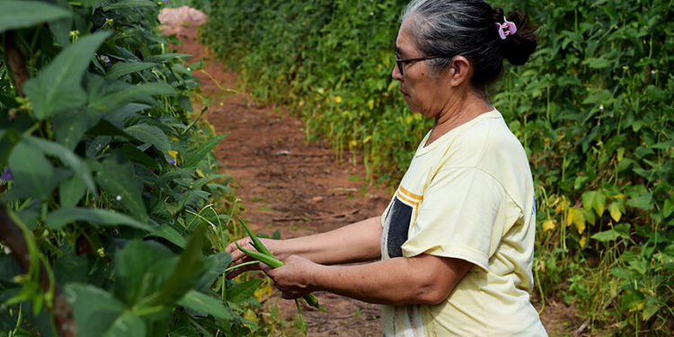 Lei acaba com multa em contagem de tempo anterior a filiação ao INSS