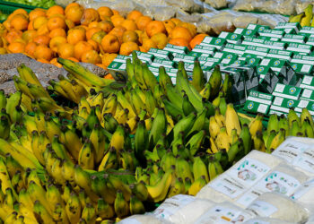 Serão destinados R$ 71,6 bilhões ao crédito rural, o Pronaf, para a safra 2023/2024. O volume é 34% superior ao anunciado na safra passada e o maior da série histórica. Ao todo, quando somadas outras ações anunciadas para a agricultura familiar, como compras públicas, assistência técnica e extensão rural, Política de Garantia de Preços Mínimos para os Produtos da Sociobiodiversidade (PGPM-Bio), Garantia-Safra e Proagro Mais, o volume investido chega a R$ 77,7 bilhões.