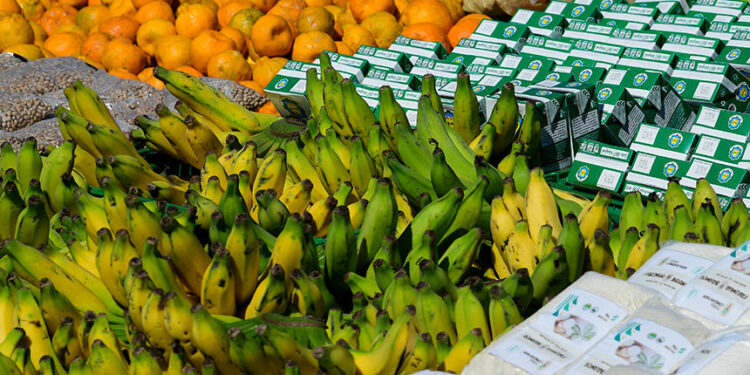 Serão destinados R$ 71,6 bilhões ao crédito rural, o Pronaf, para a safra 2023/2024. O volume é 34% superior ao anunciado na safra passada e o maior da série histórica. Ao todo, quando somadas outras ações anunciadas para a agricultura familiar, como compras públicas, assistência técnica e extensão rural, Política de Garantia de Preços Mínimos para os Produtos da Sociobiodiversidade (PGPM-Bio), Garantia-Safra e Proagro Mais, o volume investido chega a R$ 77,7 bilhões.