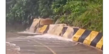 Litoral e região leste de SP têm alerta de perigo para chuvas intensas