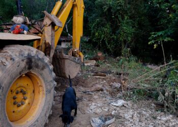 MG: mais de 400 produtores rurais foram prejudicados pelas chuvas