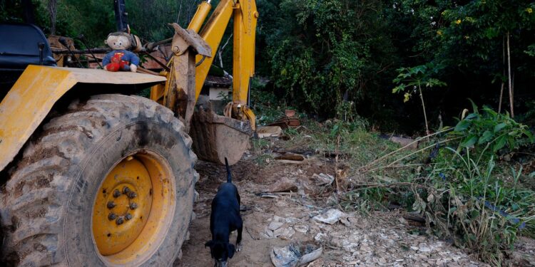 MG: mais de 400 produtores rurais foram prejudicados pelas chuvas