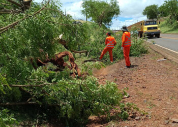 MP destina R$ 20,4 milhões para áreas atingidas por tornado no Paraná