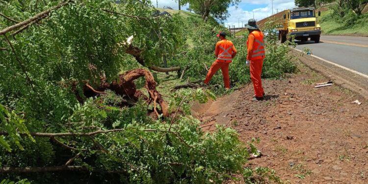 MP destina R$ 20,4 milhões para áreas atingidas por tornado no Paraná