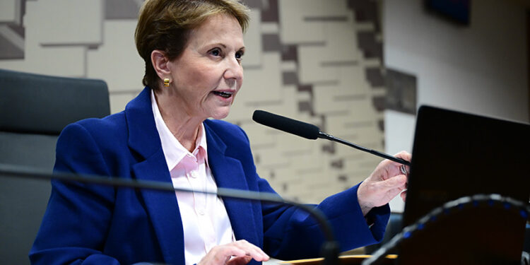 À mesa, presidente do GTMTI, senadora Tereza Cristina (PP-MS), conduz reunião.