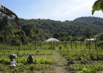 No Dia Mundial da Juventude, Viva Maria destaca os jovens do campo