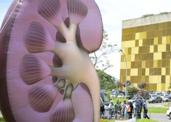 No Dia Mundial do Rim, campanha explica como manter a saúde do órgão