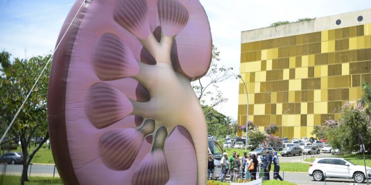 No Dia Mundial do Rim, campanha explica como manter a saúde do órgão