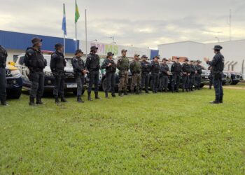 OPERAÇÃO FALCÃO I/2026 APREENDE DROGAS, ARMAS E MERCADORIAS ILEGAIS NO MEIO RURAL DE MS