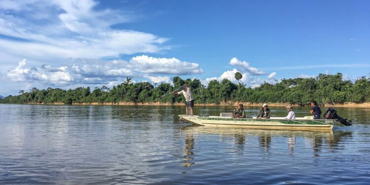 Peixes migratórios de água doce estão entre os mais ameaçados no mundo