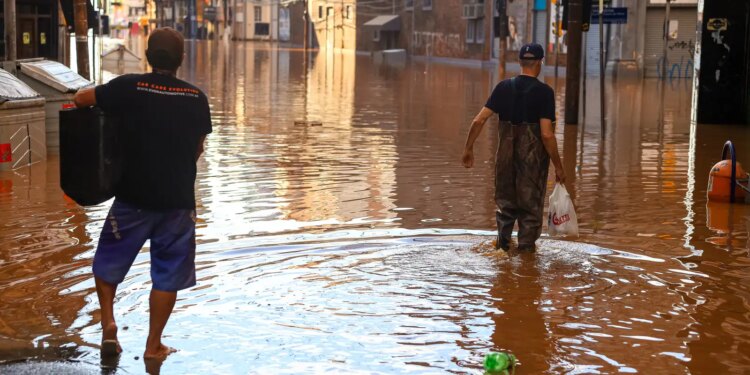 Período de chuvas pede atenção a cuidados para evitar leptospirose