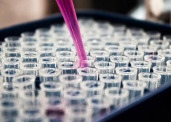 Pesquisa da Ufopa investiga potencial da manteiga de murumuru