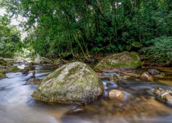 Plano busca fortalecer Sistema Nacional do Meio Ambiente até 2036