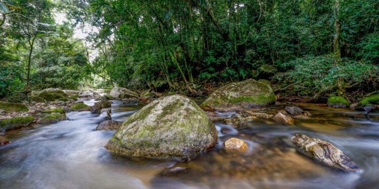 Plano busca fortalecer Sistema Nacional do Meio Ambiente até 2036