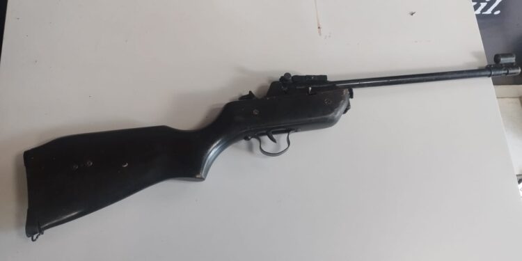 Polícia Civil apreende arma de fogo e cumpre mandado de busca contra investigado por violência doméstica, em Campo Grande