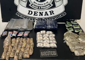 Polícia Civil apreende encomendas com droga em agência dos correios durante ação da Operação Desarme