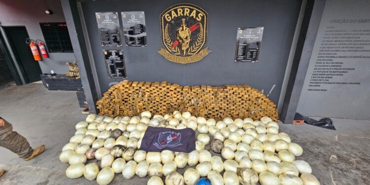 Polícia Civil apreende quase uma tonelada entorpecente e prende 5 pessoas em flagrante em uma das maiores apreensões de cloridrato de cocaína