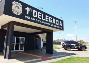 Polícia Civil e Prefeitura de Bataguassu resgatam cão vítima de maus-tratos