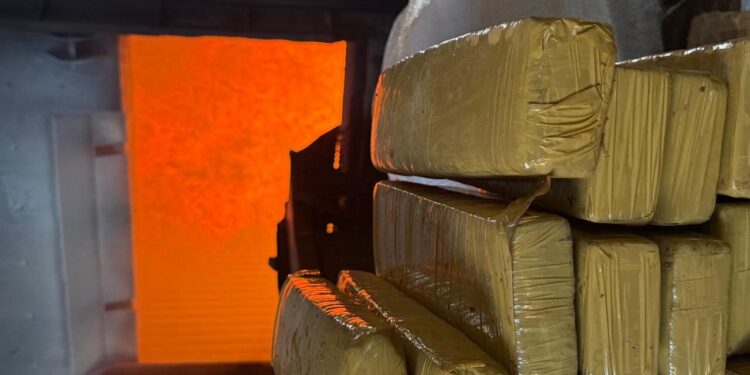 Polícia Civil incinera 11 toneladas de drogas em Ponta Porã