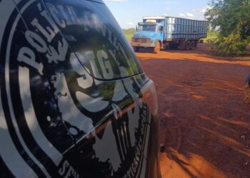 Polícia Civil prende homem por receptação e recupera parte do rebanho furtado em Fátima do Sul