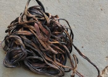 Polícia Militar e Polícia Civil prendem autor de furto de fios em Coxim