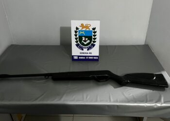 Polícia Militar prende homem e apreende espingarda após ocorrência de violência doméstica em Sonora