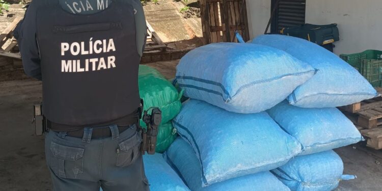 Polícia Militar reforça fiscalização na fronteira e apreende carga irregular em Corumbá.