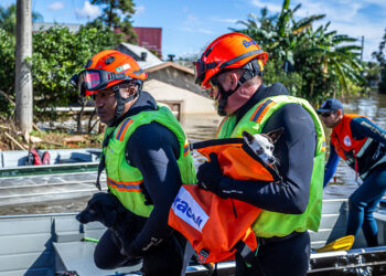 Política de proteção a animais resgatados em desastres agora é lei