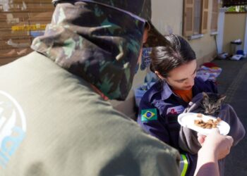 Sancionada lei que obriga manejo de animais em desastres naturais