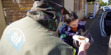 Sancionada lei que obriga manejo de animais em desastres naturais