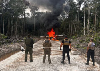 Minicracolândias surgem com avanço do tráfico na Amazônia
