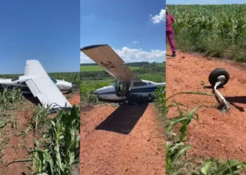 Avião realiza pouso de emergência em plantação de milho no MS