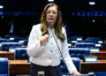 Em pronunciamento, à bancada, senadora Dra. Eudócia (PL-AL).