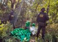 DOF apreende 289 kg de drogas em operação na fronteira