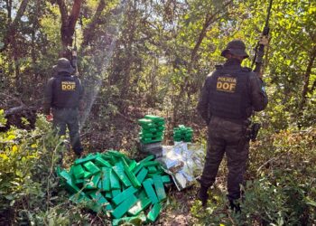 DOF apreende 289 kg de drogas em operação na fronteira