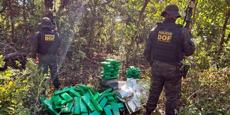 DOF apreende 289 kg de drogas em operação na fronteira