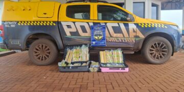 Mulher é presa transportando 34 kg de maconha em ônibus