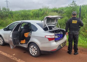 Mulher é presa transportando maconha e skunk na MS-379