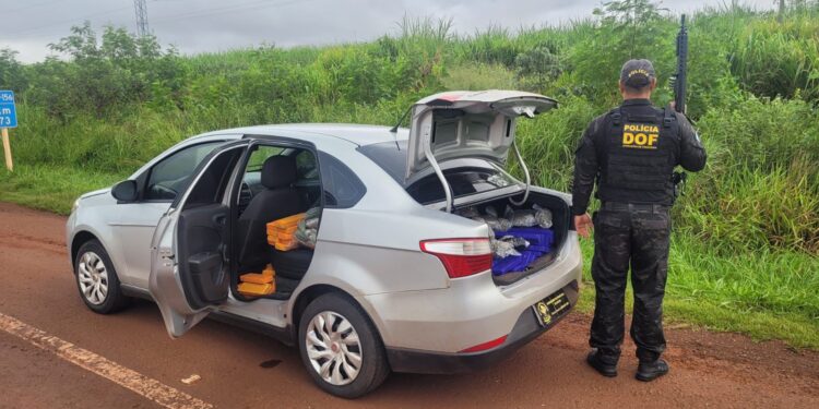Mulher é presa transportando maconha e skunk na MS-379