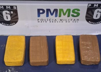 PM apreende mais de 4 kg de droga na BR-262