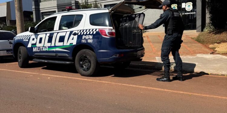 Foragido é capturado pela PM em Nova Andradina