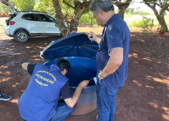 MS intensifica combate à chikungunya com leitos e ação integrada