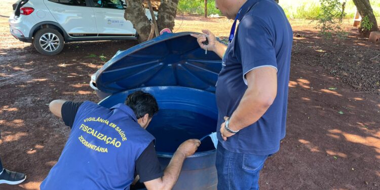 MS intensifica combate à chikungunya com leitos e ação integrada