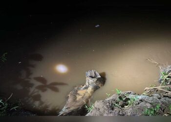 Pescador morre após cair em rio em fazenda na saída para Rochedo