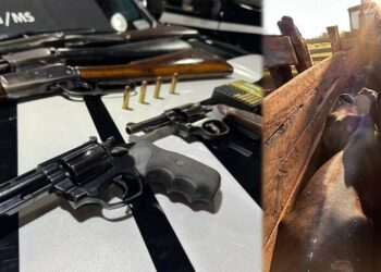 Polícia prende pai e filho por receptação de gado furtado em Nova Andradina