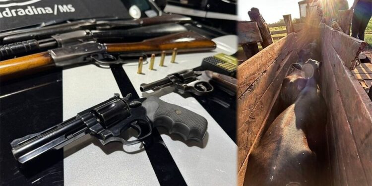 Polícia prende pai e filho por receptação de gado furtado em Nova Andradina